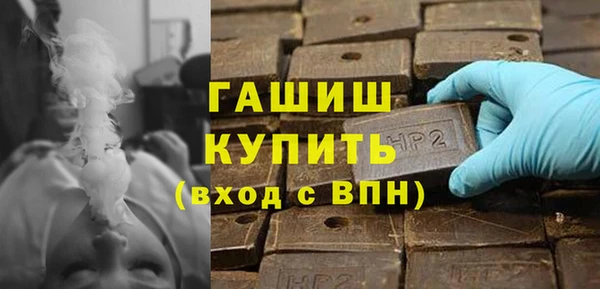 спайс Каменка