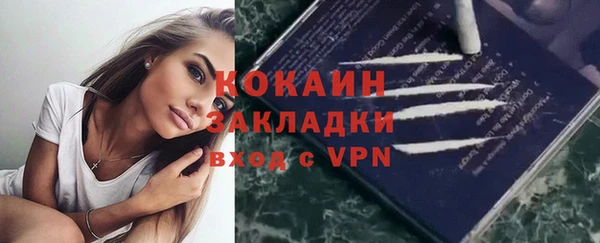 спайс Каменка