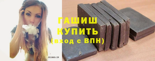 спайс Каменка