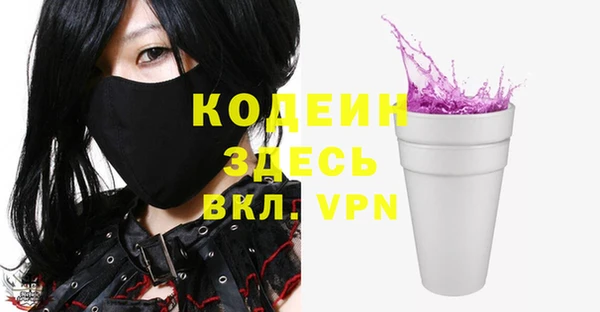 спайс Каменка