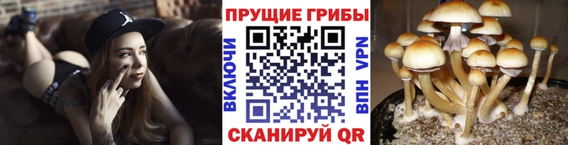 Купить  Воркута  Галлюциногенные грибы прущие грибы 